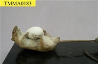 藏品(溝鼠)的圖片